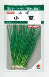 画像: 送料無料　[ねぎ]　小夏　15ml　タキイ種苗(株)　GF