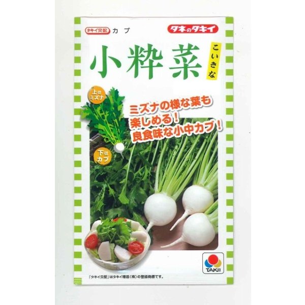 画像1: 送料無料　[かぶ]　小粋菜　3ml　タキイ種苗(株) (1)