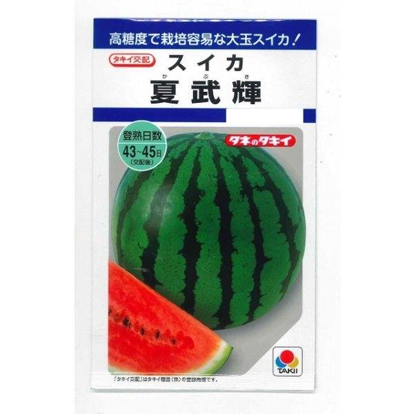 画像1: 送料無料　[スイカ]　大玉スイカ　夏武輝　9粒　タキイ種苗(株)　DF (1)