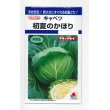 画像1: [キャベツ]　初夏のかほり　1.1ｍｌ　タキイ種苗（株）　DF (1)