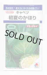 画像: 送料無料　[キャベツ]　初夏のかほり　1.1ml　タキイ種苗(株)　DF