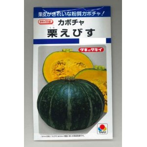 画像: [かぼちゃ]　栗えびす　19粒　タキイ種苗（株）　DF