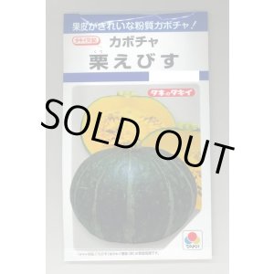 画像: 送料無料　[かぼちゃ]　栗えびす　19粒　タキイ種苗(株)　DF