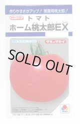 画像: 送料無料　[トマト/桃太郎系]　ホーム桃太郎ＥＸ　29粒　タキイ種苗(株)　DF