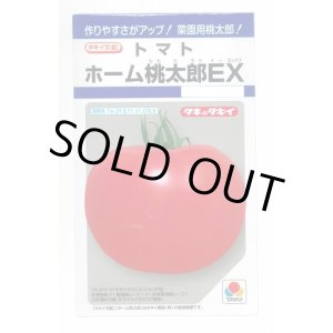 画像: 送料無料　[トマト/桃太郎系]　ホーム桃太郎ＥＸ　29粒　タキイ種苗(株)　DF