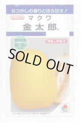 画像: 送料無料　[瓜類]　マクワ　金太郎　60粒　タキイ種苗(株)　DF