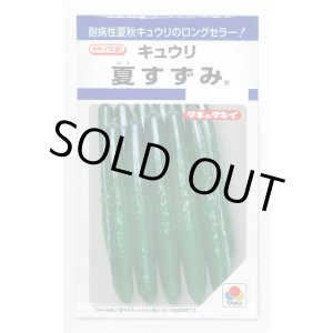 画像: 送料無料　[キュウリ]　夏すずみ　15粒　タキイ種苗(株)　DF