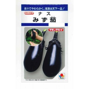 画像: 送料無料　[なす]　みず茄子　50粒　タキイ種苗(株)　DF