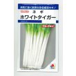 画像1: 送料無料　[ねぎ]　ホワイトタイガー　8ml　タキイ種苗(株)　DF (1)