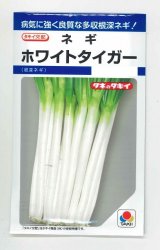 画像: 送料無料　[ねぎ]　ホワイトタイガー　8ml　タキイ種苗(株)　DF