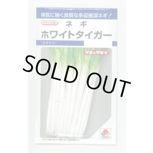画像: 送料無料　[ねぎ]　ホワイトタイガー　8ml　タキイ種苗(株)　DF