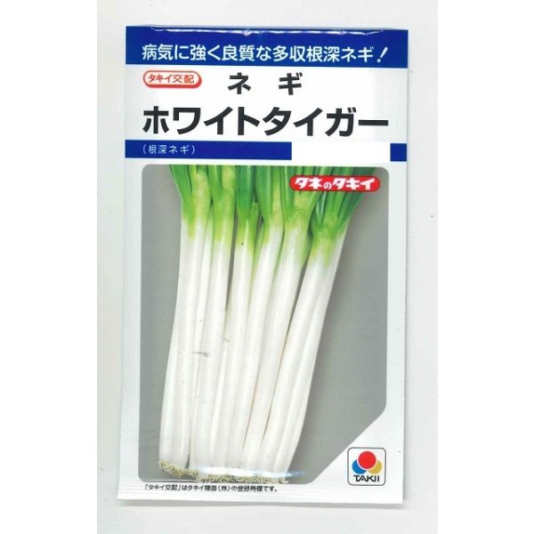 画像1: 送料無料　[ねぎ]　ホワイトタイガー　8ml　タキイ種苗(株)　DF (1)
