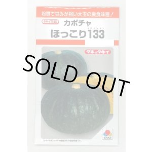 画像: 送料無料　[かぼちゃ]　ほっこり133　9粒　タキイ種苗(株)　RF