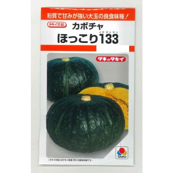 画像1: 送料無料　[かぼちゃ]　ほっこり133　9粒　タキイ種苗(株)　RF (1)