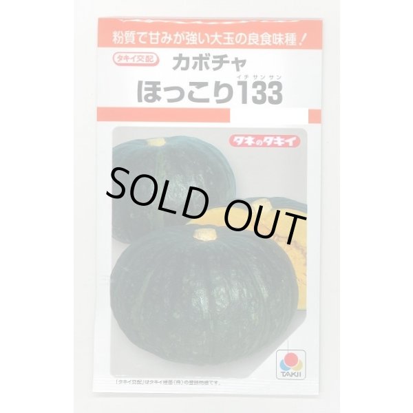 画像1: 送料無料　[かぼちゃ]　ほっこり133　9粒　タキイ種苗(株)　RF (1)