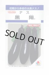 画像: 送料無料　[なす]　黒陽　60粒　タキイ種苗(株)　DF