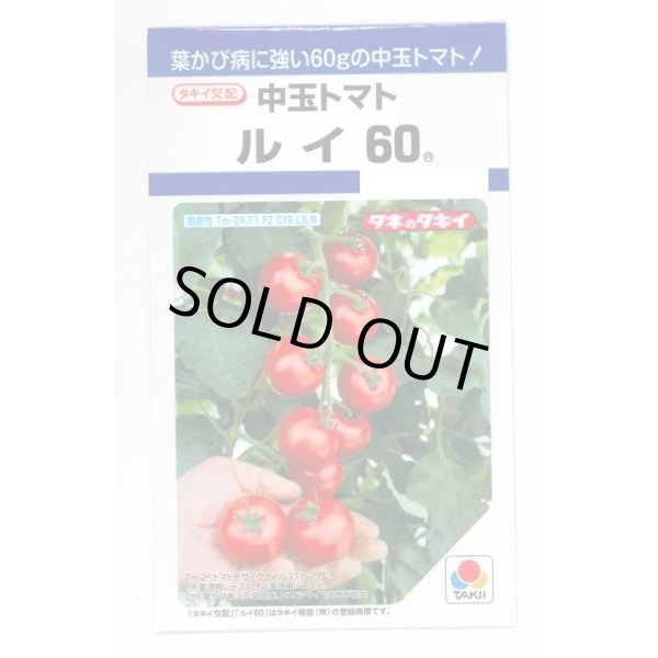 画像1: 送料無料　[トマト/中玉トマト]　ルイ60　18粒　タキイ種苗　DF (1)