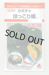 画像: 送料無料　[かぼちゃ]　ほっこり姫　9粒　タキイ種苗(株)　RF