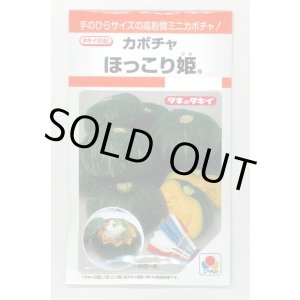 画像: 送料無料　[かぼちゃ]　ほっこり姫　9粒　タキイ種苗(株)　RF