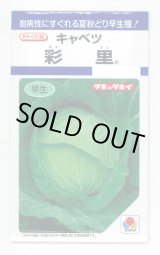 画像: [キャベツ] 彩里1.1ml(約200粒) タキイ種苗(株) DF