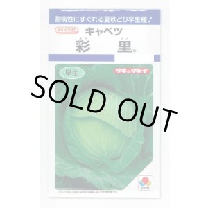 画像: [キャベツ] 彩里1.1ml(約200粒) タキイ種苗(株) DF