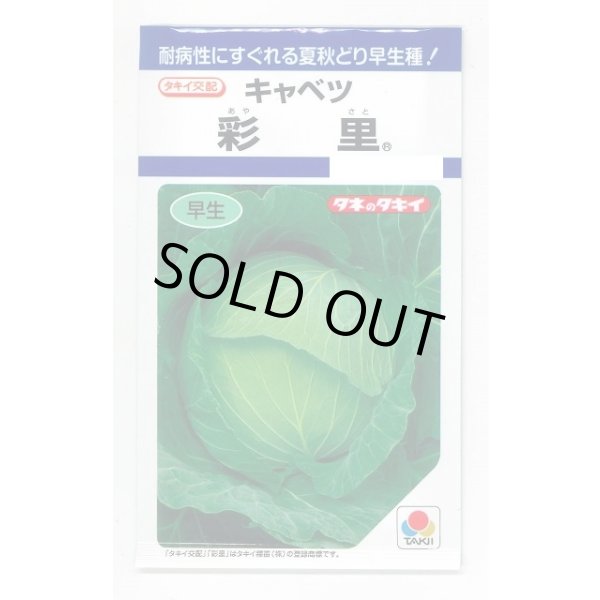 画像1: [キャベツ] 彩里1.1ml(約200粒) タキイ種苗(株) DF (1)