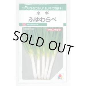 画像: [ねぎ] ふゆわらべ 4.5ml タキイ種苗 GF