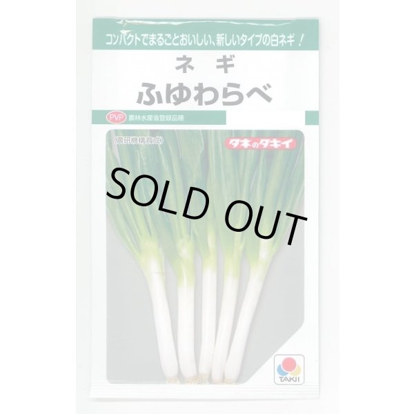画像1: [ねぎ] ふゆわらべ 4.5ml タキイ種苗 GF (1)