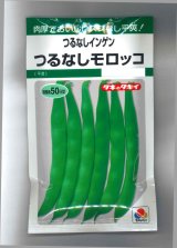 画像: 送料無料　[いんげん]　つるなし　モロッコ　50ml　タキイ種苗　GF