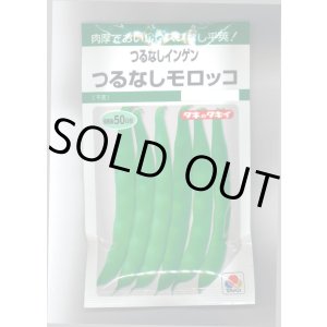 画像: 送料無料　[いんげん]　つるなし　モロッコ　50ml　タキイ種苗　GF