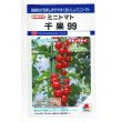 画像1: 送料無料　[トマト/ミニトマト]　千果99　12粒　タキイ種苗(株)　DF (1)