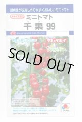 画像: 送料無料　[トマト/ミニトマト]　千果99　12粒　タキイ種苗(株)　DF