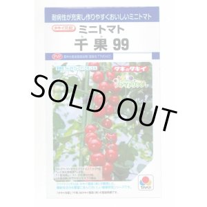 画像: 送料無料　[トマト/ミニトマト]　千果99　12粒　タキイ種苗(株)　DF