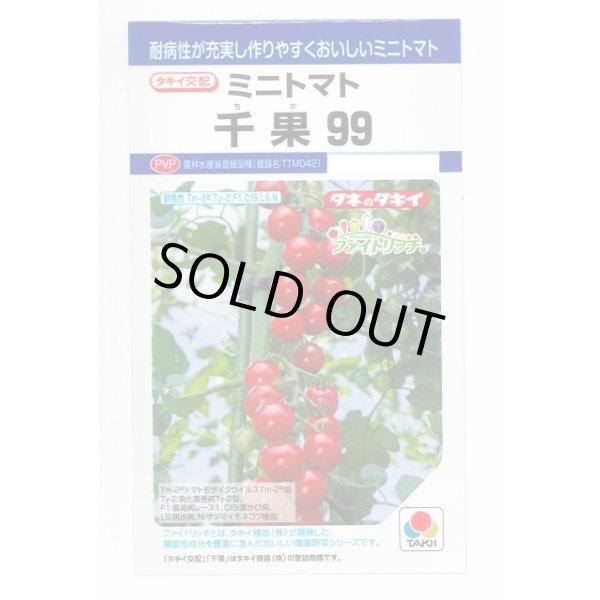 画像1: 送料無料　[トマト/ミニトマト]　千果99　12粒　タキイ種苗(株)　DF (1)