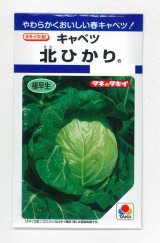 画像: 送料無料　[キャベツ]　北ひかり　1.8ml　タキイ種苗(株)　DF
