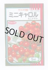 画像: 送料無料　[トマト/ミニトマト]　ミニキャロル　5ml　(株)サカタのタネ