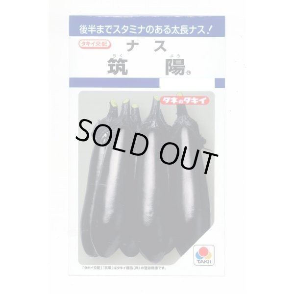 画像1: 送料無料　[なす]　筑陽　27粒　タキイ種苗(株)　DF (1)