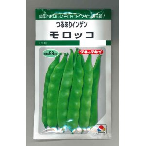 画像: [いんげん]　　モロッコ　45ml　タキイ種苗（株）　GF　