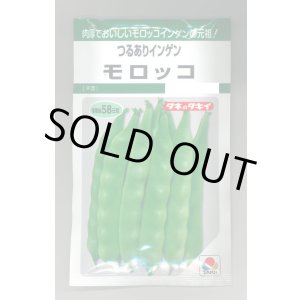 画像: 送料無料　[いんげん]　モロッコ　45ml　タキイ種苗(株)　GF