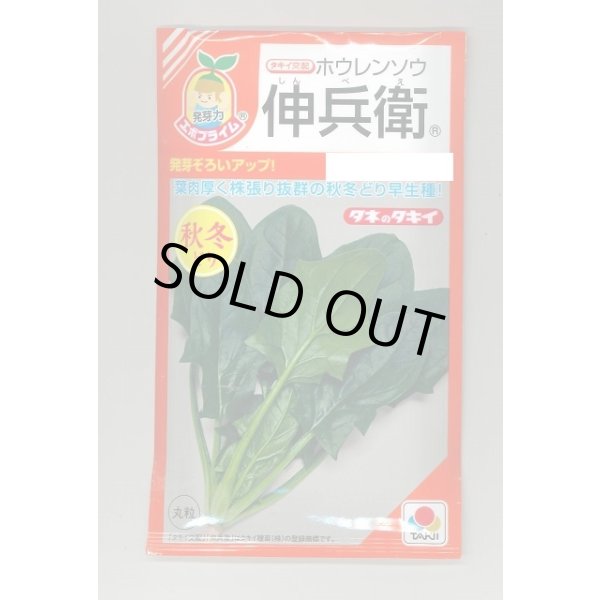 画像1: 送料無料　[ほうれんそう]　伸兵衛　40ml　タキイ種苗(株)　RF (1)