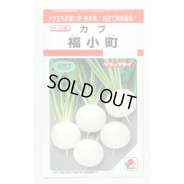 画像1: [かぶ] 福小町 3.5ml タキイ種苗(株) RF (1)