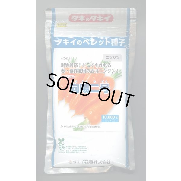 画像1: 送料無料 [人参] 向陽二号 ペレット種子 ペレット 1万粒 タキイ種苗(株) (1)