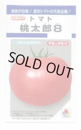 画像: 送料無料　[トマト/桃太郎系]　桃太郎8　16粒　タキイ種苗(株)　DF