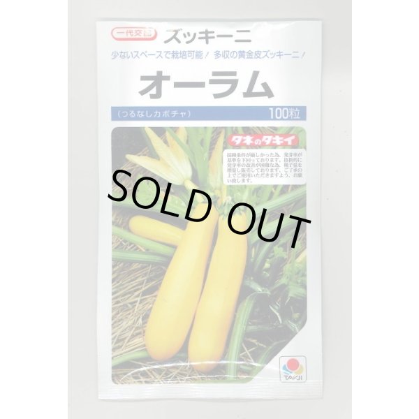 画像1: 送料無料　[ズッキーニ]　オーラム　100粒　タキイ一代交配 (1)