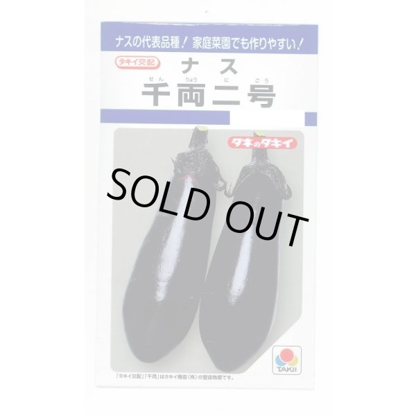 画像1: 送料無料　[なす]　千両二号　50粒　タキイ種苗(株)　DF (1)