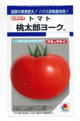 画像: 送料無料　[トマト/桃太郎系]　桃太郎ヨーク　18粒　タキイ種苗(株)　DF