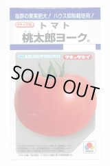画像: 送料無料　[トマト/桃太郎系]　桃太郎ヨーク　18粒　タキイ種苗(株)　DF