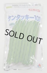 画像: [いんげん] ケンタッキー101 1L タキイ種苗