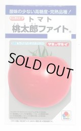 画像: 送料無料　[トマト/桃太郎系]　桃太郎ファイト　16粒　貴種(コートしてません)　タキイ種苗(株)　DF