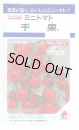 画像: 送料無料　[トマト/ミニトマト]　千果　小袋(16粒)　タキイ種苗(株)　DF